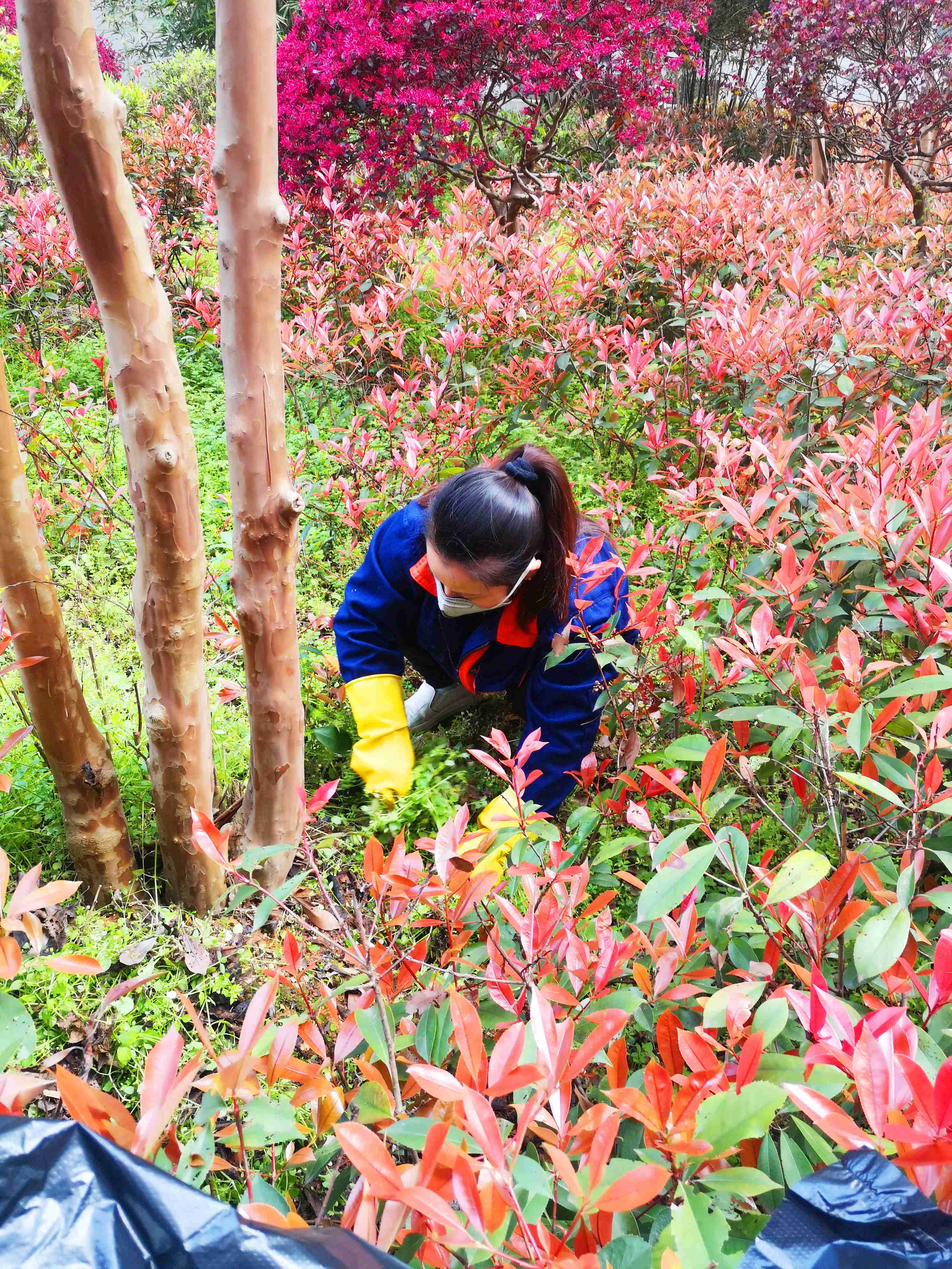 湖南保安服務(wù),墻外高空清洗服務(wù),湖南保利天創(chuàng)物業(yè)發(fā)展有限公司