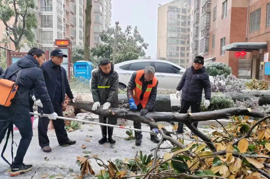 湖南保安服務(wù),墻外高空清洗服務(wù),湖南保利天創(chuàng)物業(yè)發(fā)展有限公司